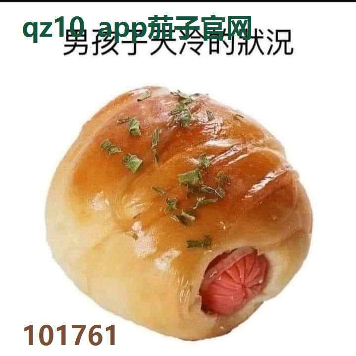 qz10 app茄子官网